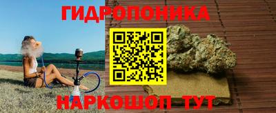 СК Коммунар