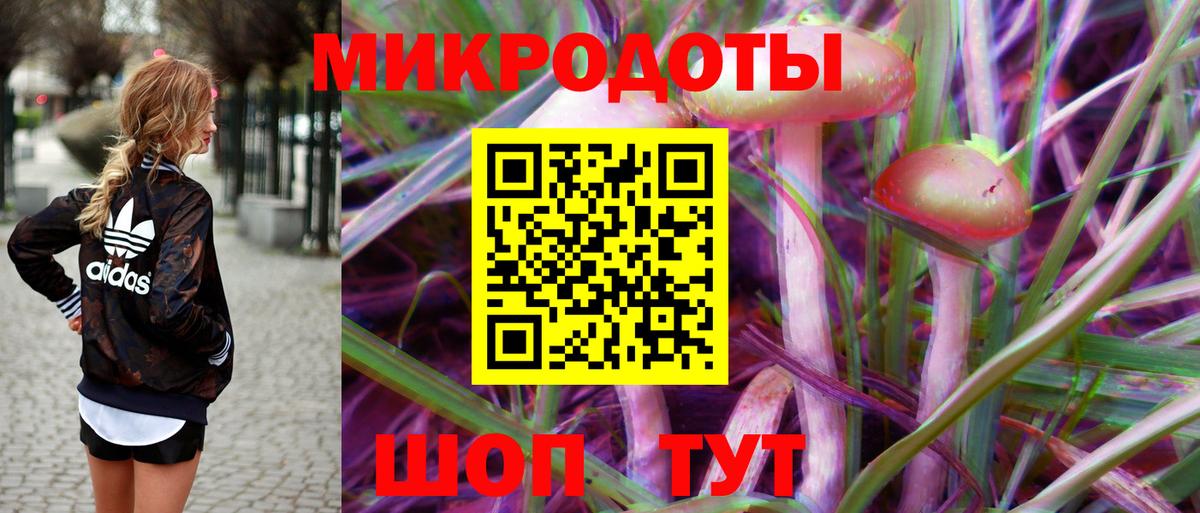 Кинель  Галлюциногенные грибы Magic Shrooms  Вход с VPN  Галлюциногенные грибы мухоморы 
