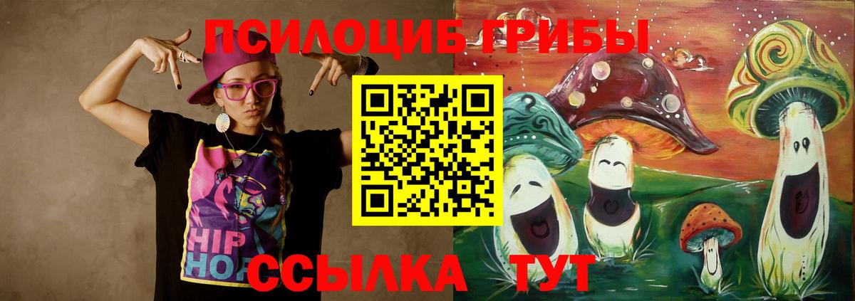 Псилоцибиновые грибы GOLDEN TEACHER Кинель